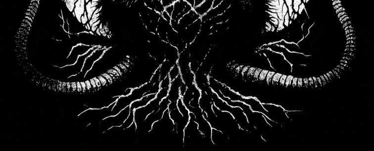 Obscvrat Logo - Static